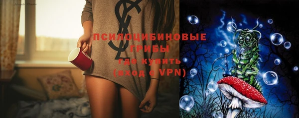 прущие грибы Белоозёрский
