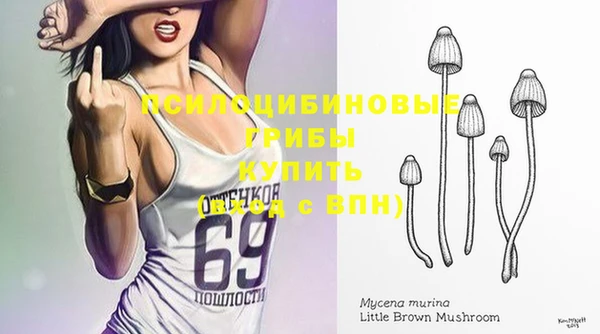 кокс Белокуриха