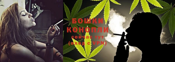 прущие грибы Белоозёрский