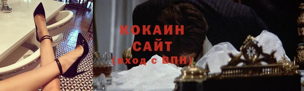 прущие грибы Белоозёрский