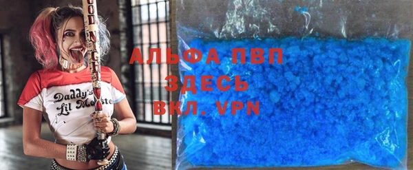 прущие грибы Белоозёрский
