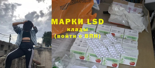 прущие грибы Белоозёрский