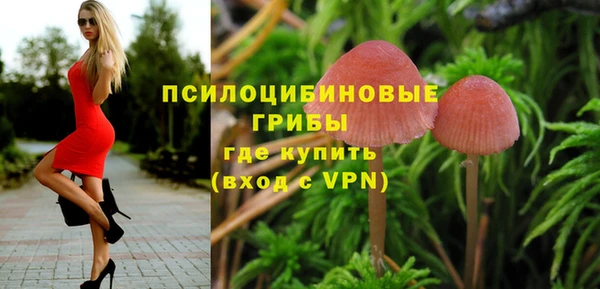 кокс Белокуриха