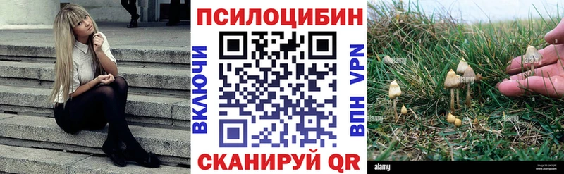 Псилоцибиновые грибы Magic Shrooms  MEGA сайт  Малмыж 